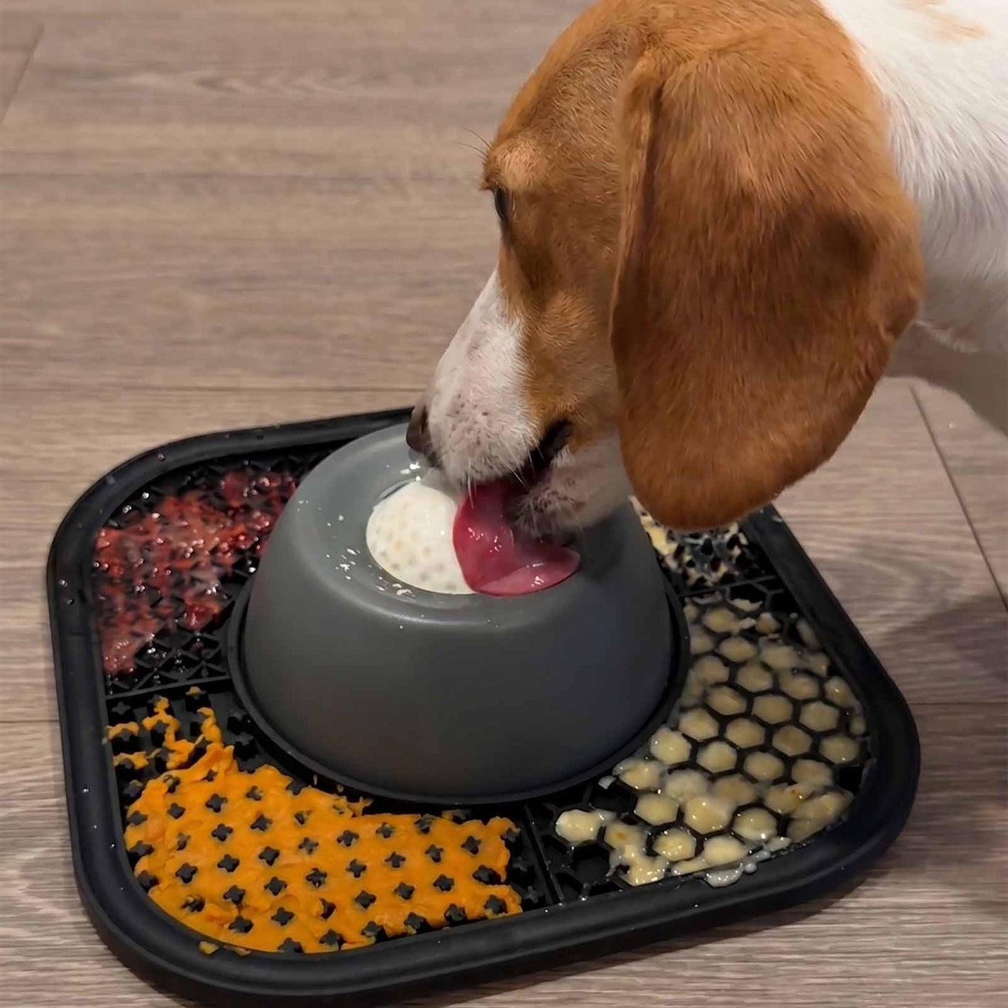 Dog drinking from a bowl on a mat with food remnants
