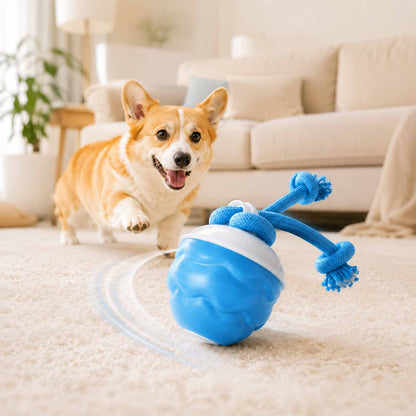 PALAPAW Chase Buddy™ — Interactive Chase Toy for Small & Medium Dogs
