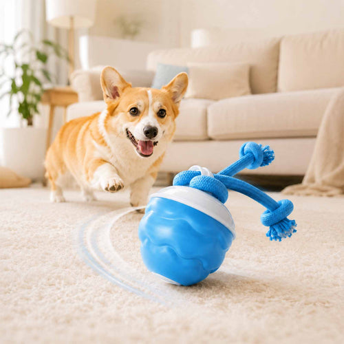 PALAPAW Chase Buddy™ — Interactive Chase Toy for Small & Medium Dogs
