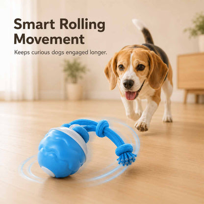 PALAPAW Chase Buddy™ — Interactive Chase Toy for Small & Medium Dogs