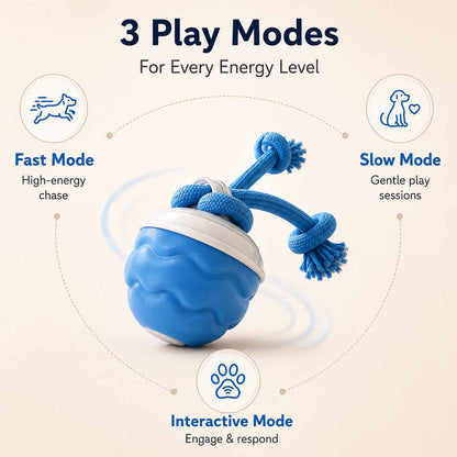 PALAPAW Chase Buddy™ — Interactive Chase Toy for Small & Medium Dogs
