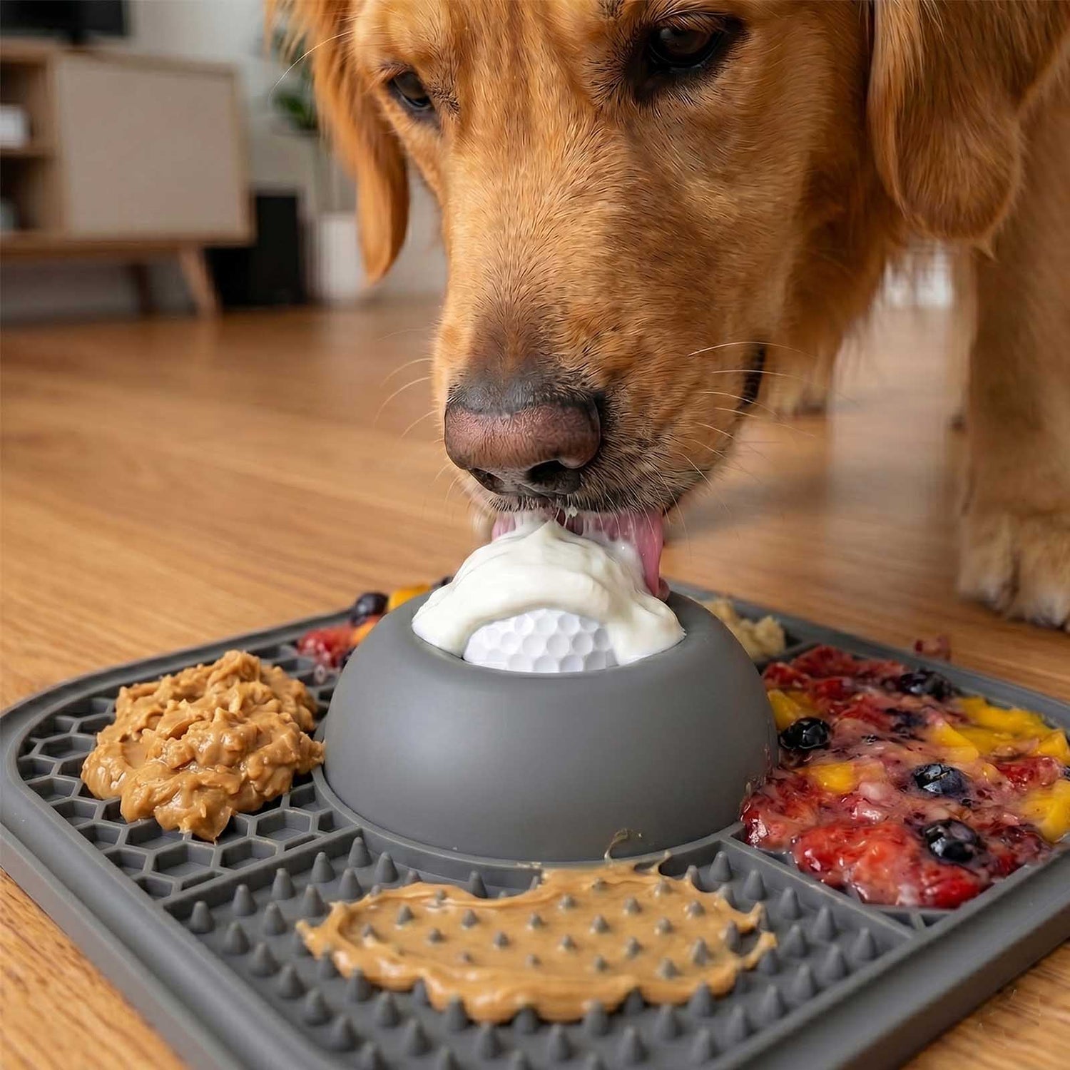 Dog interacting with a treat dispenser on a wooden floor