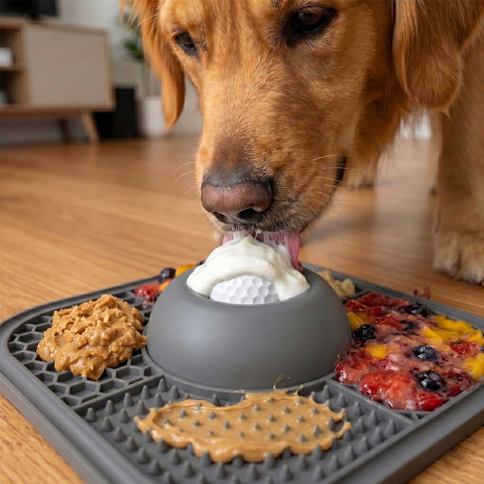 Dog interacting with a treat dispenser on a wooden floor