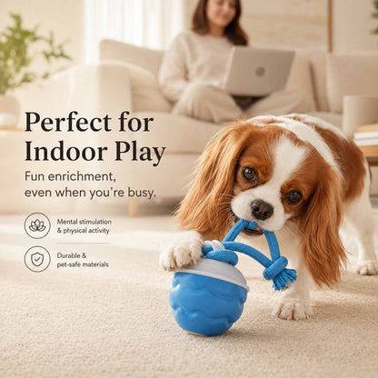 PALAPAW Chase Buddy™ — Interactive Chase Toy for Small & Medium Dogs