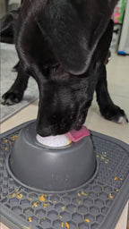 PALAPAW Calm Bowl — 2-in-1 Lick Mat & Slow Feeder for Dogs