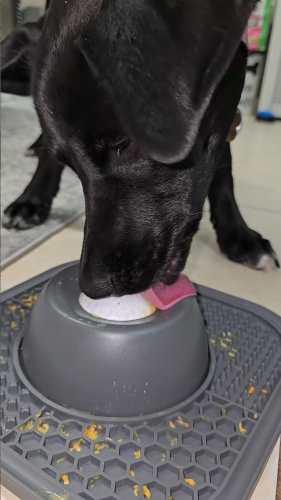 PALAPAW Calm Bowl — 2-in-1 Lick Mat & Slow Feeder for Dogs