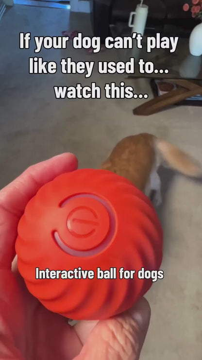 PALAPAW Zoomi Ball™ — Smart Interactive Dog Toy