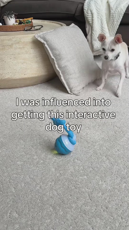 PALAPAW Chase Buddy™ — Interactive Chase Toy for Small & Medium Dogs