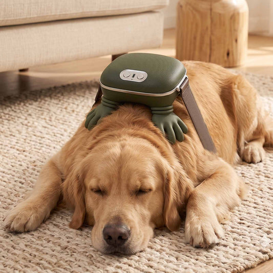 PALAPAW Calm Companion - Heated Massager for Restless & Senior Dogs